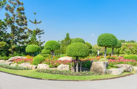 Bravarska Moć –, Hortikultura, vrt, dvorište